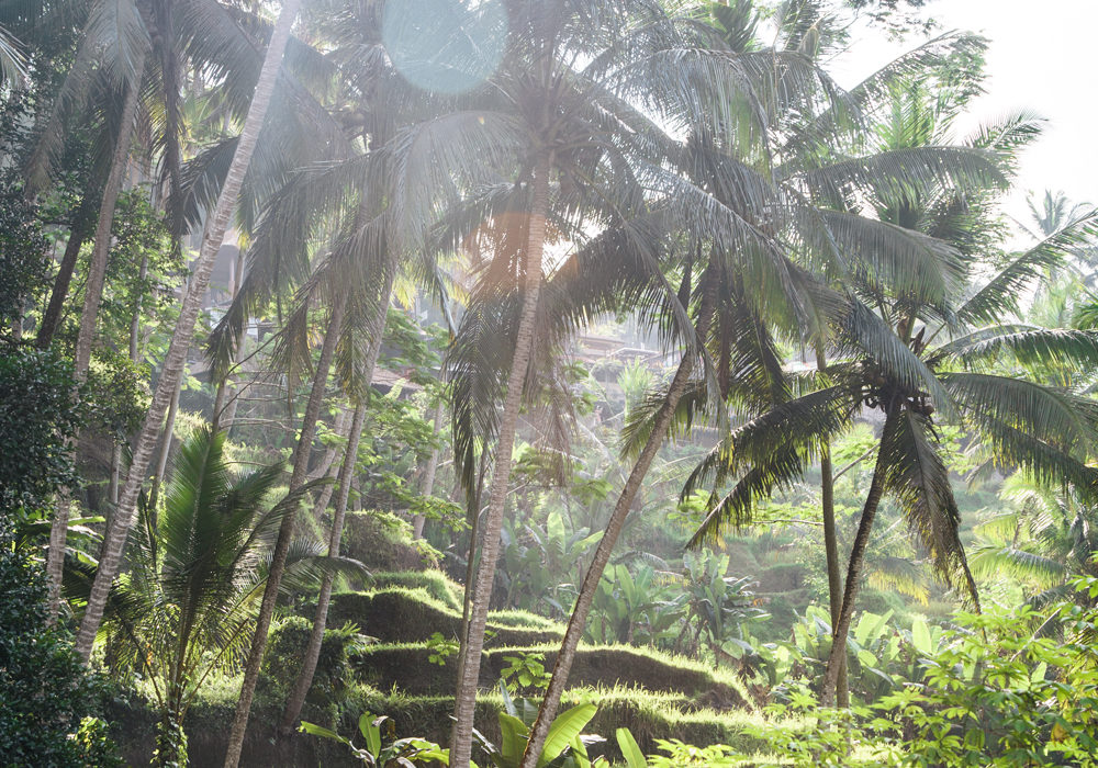 L’Anthropocène, c’est quoi ?