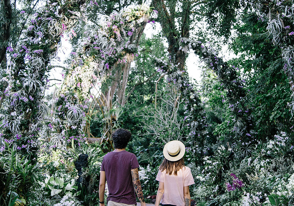 Singapour • Eco-city Guide