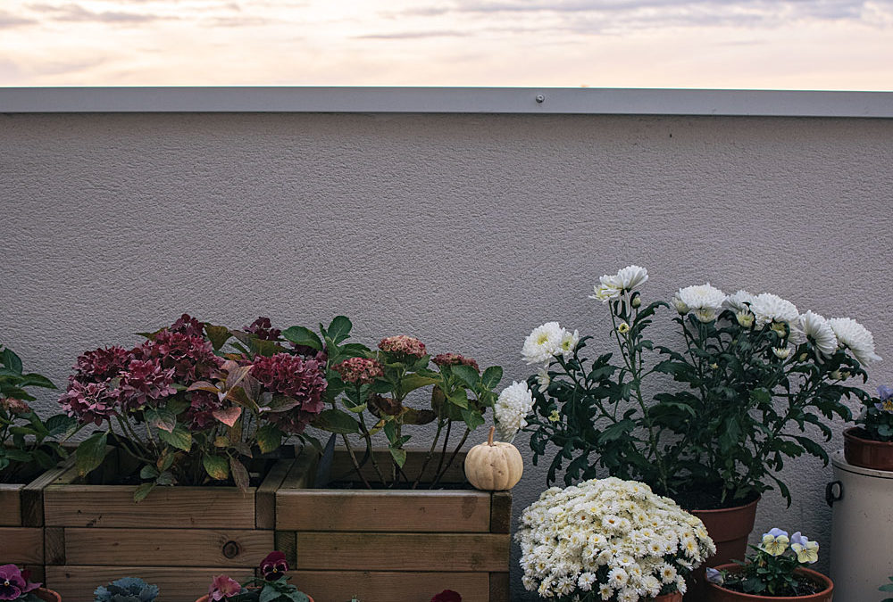 Ma décoration balcon d’automne