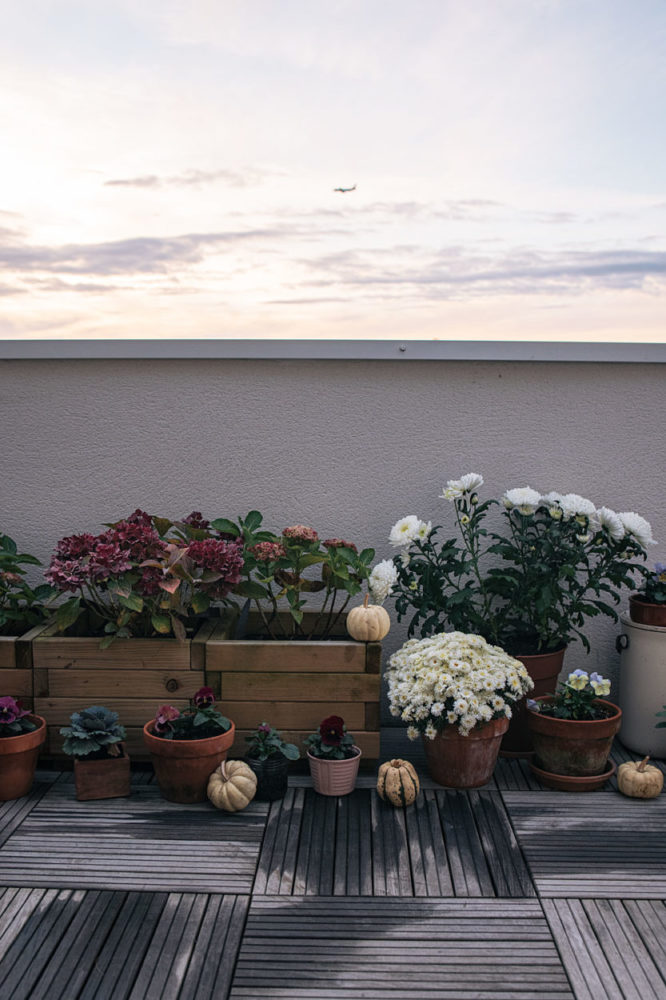 Ma décoration balcon d’automne